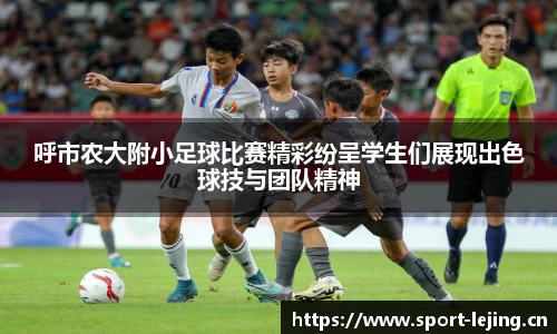 乐竞体育